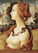 Piero di Cosimo, Portrait of Simonetta Vespucci